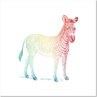 Colorful rainbow zebra Posters and Art